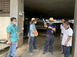 省市鎮(zhèn)聯(lián)合執(zhí)法，東莞嚴查環(huán)境違法行為